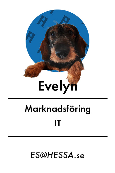 Evelyn IT