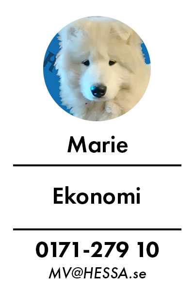 Marie - ekonomi